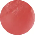 TEE SHIRT BRODE saumon.webp