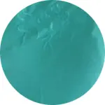 TEE SHIRT BRODE vert.webp