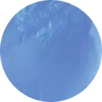 TEE SHIRT BRODE bleu roi.webp