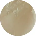 TEE SHIRT BRODE beige.webp