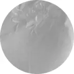 TEE SHIRT BRODE blanc.webp