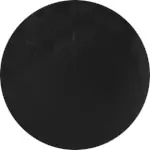 TEE SHIRT BRODE noir.webp