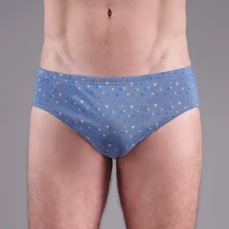 Lot 2 Slips Assortis Taille Basse 100% coton peigné